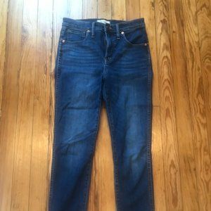 Madewell 10" High-Rise Skinny Jeans 28